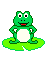 lilypad